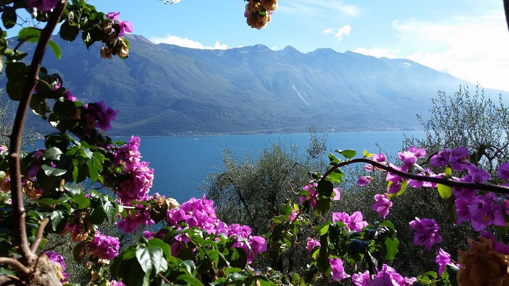 Hotel Augusta Garni Limone sul Garda Exterior foto