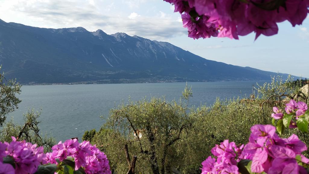 Hotel Augusta Garni Limone sul Garda Quarto foto