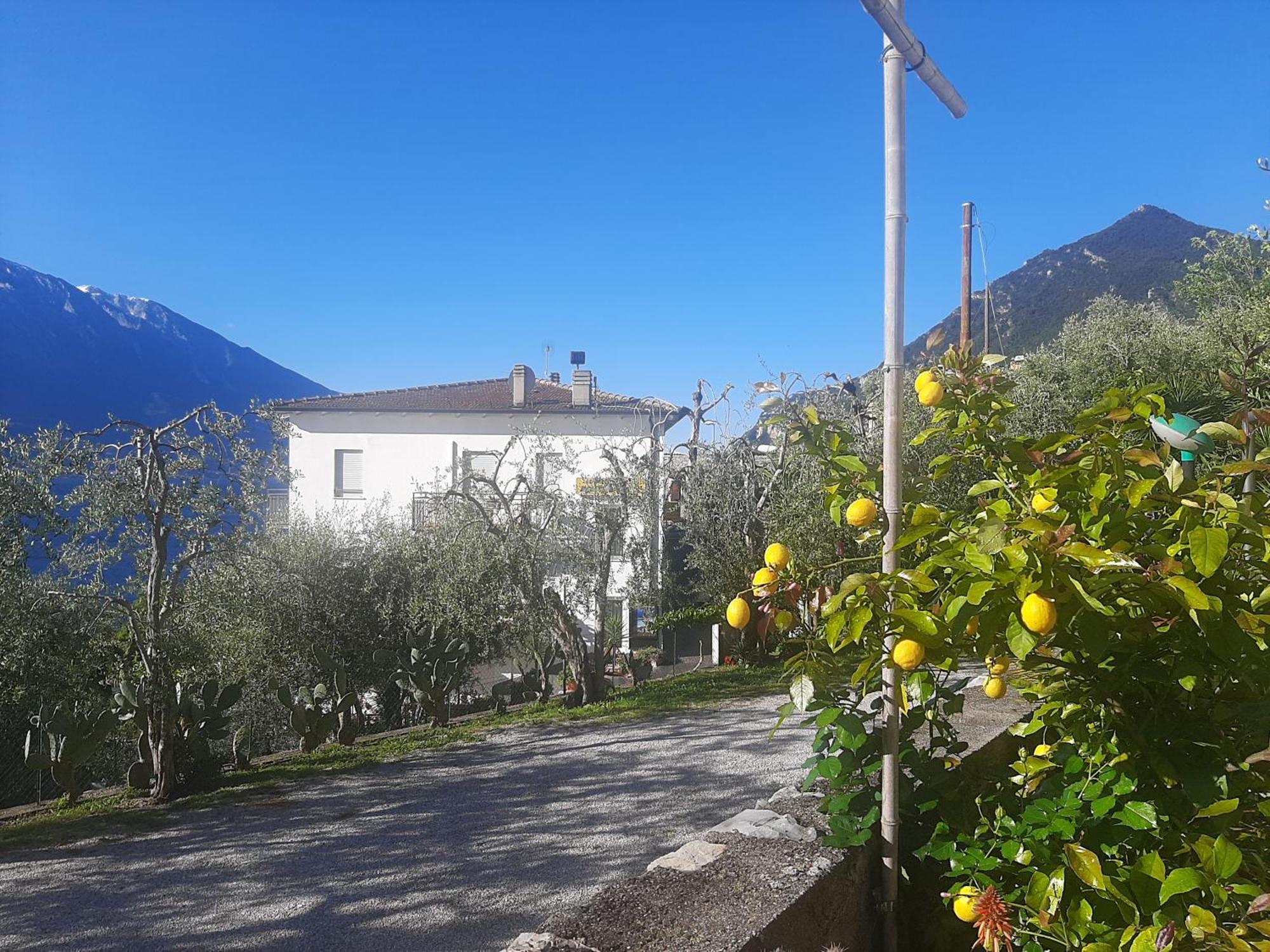 Hotel Augusta Garni Limone sul Garda Exterior foto